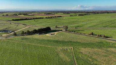 Livestock Sold - VIC - Fulham - 3851 - QUALITY IRRIGATION LAND – IDEALLY LOCATED  (Image 2)