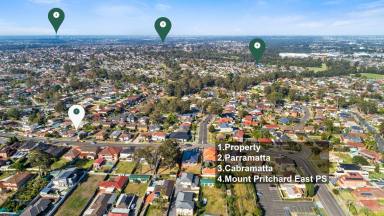 House Sold - NSW - Mount Pritchard - 2170 - MASSIVE 29.87M FRONTAGE  (Image 2)