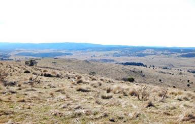 Other (Rural) Sold - NSW - Nimmitabel - 2631 - 256 Acres – Power + Building Entitlement  (Image 2)