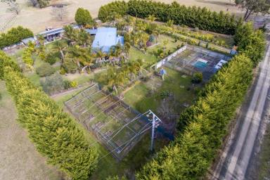 Lifestyle For Sale - VIC - Stradbroke - 3851 - WELL-ESTABLISHED LIFESTYLE HOME ON 81.76 ACRES  (Image 2)
