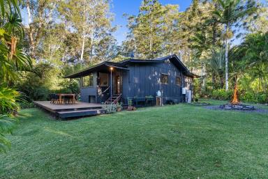House For Sale - QLD - Eudlo - 4554 - Where Vintage Charm Meets Boho Luxe: Your Country Retreat Awaits  (Image 2)