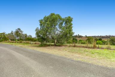 Residential Block Sold - QLD - Veteran - 4570 - "What if one Opportunity could Change your Life?"  (Image 2)
