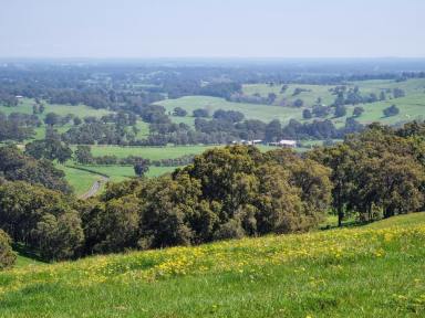 Mixed Farming For Sale - WA - Burekup - 6227 - Rare Earth in Burekup  (Image 2)