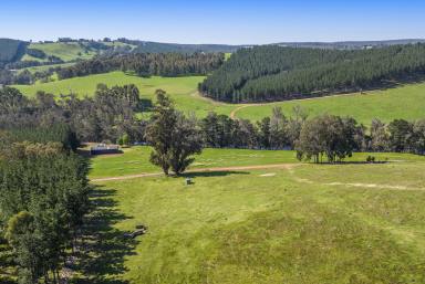 Lifestyle Sold - WA - Maranup - 6256 - Blackwood River frontage + 88 acres!  (Image 2)