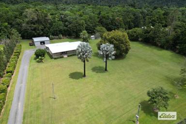 House For Sale - QLD - Bulgun - 4854 - Backing on to National Park,  Rainforest AND Mountains  (Image 2)