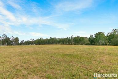 Acreage/Semi-rural Sold - NSW - Wallarobba - 2420 - Build Your Dream Home In a Quiet Country Setting  (Image 2)