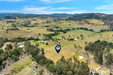 Acreage/Semi-rural Sold - NSW - Wallarobba - 2420 - Build Your Dream Home In a Quiet Country Setting  (Image 2)