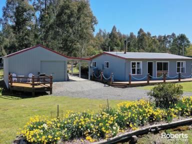 House For Sale - TAS - Bradys Lake - 7140 - The Perfect Holiday Home  (Image 2)