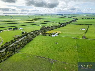 Livestock For Sale - VIC - Yanakie - 3960 - Prime productive pasture, spectacular Prom views  (Image 2)