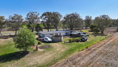 Acreage/Semi-rural Sold - NSW - Tamworth - 2340 - "Rosebank" Aggregation  (Image 2)
