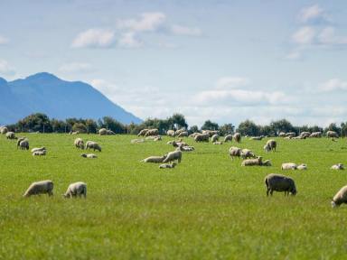 Livestock Sold - VIC - Strathkellar - 3301 - SOUGHT AFTER LOCATION – DIVERSE OPPORTUNITIES  (Image 2)