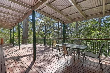 House Sold - QLD - Mount Glorious - 4520 - Whisper Quiet Bush Setting - Where Creativity Can Flow…  (Image 2)