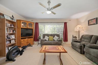 House Sold - VIC - Wangaratta - 3677 - Light Filled & Low Maintenance  (Image 2)