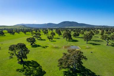 Mixed Farming For Sale - VIC - Middle Creek - 3375 - DELIGHTFUL WESTERN VICTORIA COUNTRY  (Image 2)