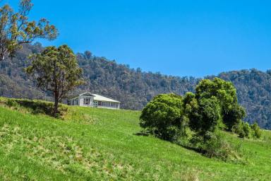 Acreage/Semi-rural For Sale - NSW - Green Pigeon - 2474 - 360 Degrees of Breathtaking!  (Image 2)