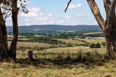 Lifestyle For Sale - NSW - Goulburn - 2580 - FRAME THIS VIEW FOREVER!  (Image 2)