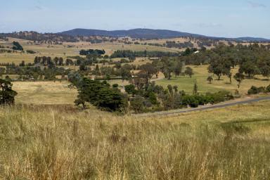 Lifestyle For Sale - NSW - Goulburn - 2580 - FRAME THIS VIEW FOREVER!  (Image 2)