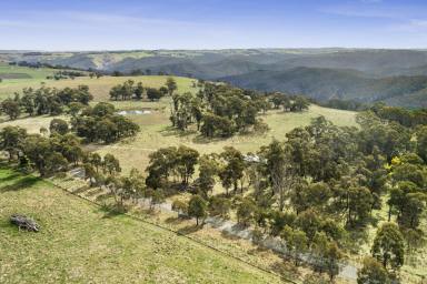 Lifestyle Sold - NSW - Taralga - 2580 - What a view!!  (Image 2)