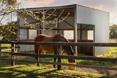 House For Sale - VIC - Newham - 3442 - "Penny Lane"   9.989 Ha (24.68 Acres), a perfect horse-lover's haven  (Image 2)