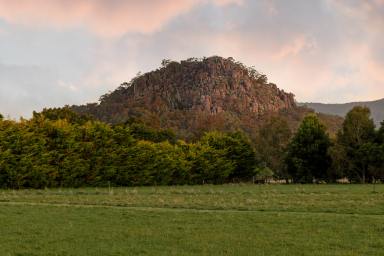 House For Sale - VIC - Newham - 3442 - "Penny Lane"   9.989 Ha (24.68 Acres), a perfect horse-lover's haven  (Image 2)