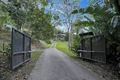 Acreage/Semi-rural For Sale - QLD - Gordonvale - 4865 - Privacy Plus - Beautiful Queenslander - Magical Views - 26 Acres  (Image 2)