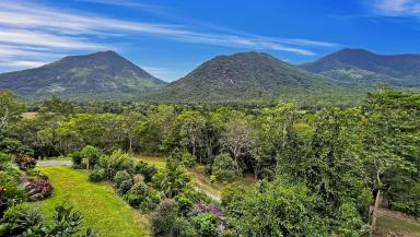 Acreage/Semi-rural For Sale - QLD - Gordonvale - 4865 - Privacy Plus - Beautiful Queenslander - Magical Views - 26 Acres  (Image 2)