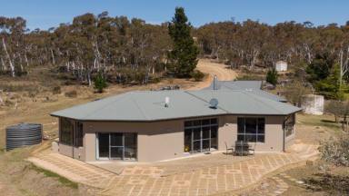 House For Sale - NSW - Numeralla - 2630 - Numeralla Valley ‘Rockview’ 120 acres with 5 bedroom house  (Image 2)