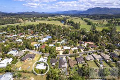 House Sold - NSW - Bellingen - 2454 - Stylish Modern Home with Flare and Privacy  (Image 2)