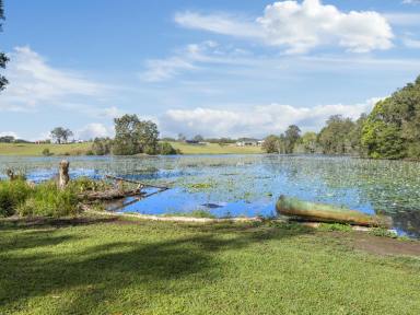 House For Sale - NSW - Nambucca Heads - 2448 - Lake Frontage - This Is Absolutely Top Shelf!  (Image 2)