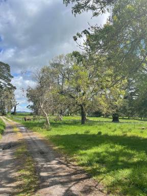 House Leased - VIC - Euroa - 3666 - Country Feeling!  (Image 2)