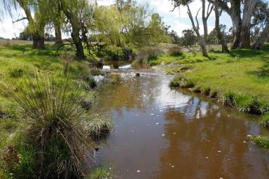 Livestock For Sale - NSW - Yass - 2582 - Oakdale  (Image 2)