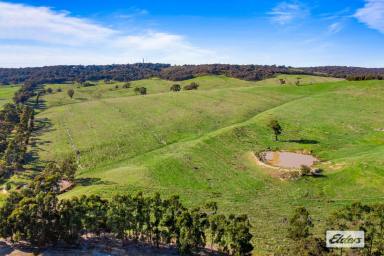 Mixed Farming For Sale - VIC - Beaufort - 3373 - Picturesque & Well Positioned Mixed Farm - 310 Acres  (Image 2)