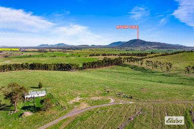 Mixed Farming For Sale - VIC - Beaufort - 3373 - Picturesque & Well Positioned Mixed Farm - 310 Acres  (Image 2)
