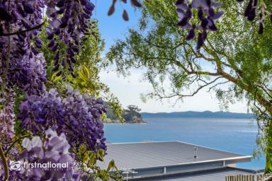 Flat Leased - TAS - Blackmans Bay - 7052 - What a View!  (Image 2)