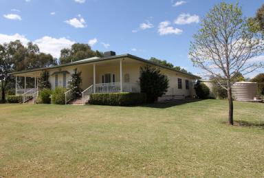 Other (Rural) For Sale - NSW - Moree - 2400 - FOR SALE  (Image 2)