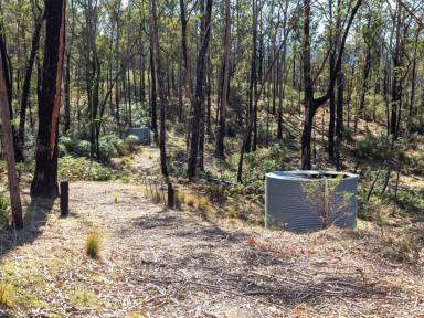 Residential Block For Sale - NSW - Bemboka - 2550 - PRIVATE 100+ ACRES WITH BUILDING PERMIT  (Image 2)
