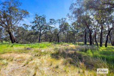 Residential Block Sold - VIC - Navarre - 3384 - Affordable Country Retreat  (Image 2)