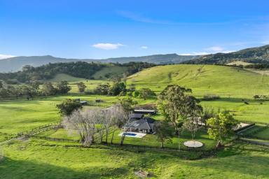 Acreage/Semi-rural Sold - NSW - Toolijooa - 2534 - Luxurious Farm with Ocean Views & Equine Facilities  (Image 2)