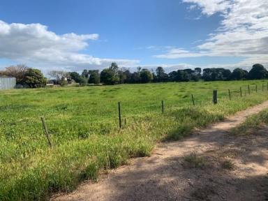 Mixed Farming For Sale - VIC - Rochester - 3561 - IDEAL PRODUCTION BLOCK  (Image 2)