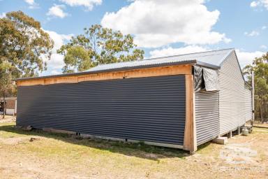 Lifestyle Sold - NSW - Torrington - 2371 - Ideal Lifestyle Property  (Image 2)