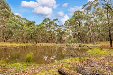 Residential Block Sold - VIC - Newtown - 3351 - Escape To Nature  (Image 2)