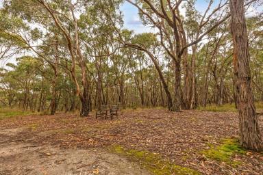 Residential Block Sold - VIC - Newtown - 3351 - Escape To Nature  (Image 2)