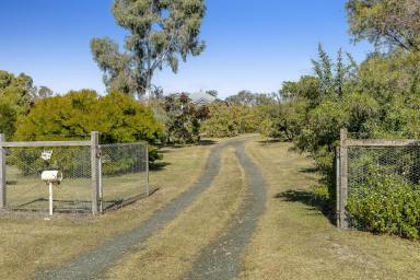 Block of Units For Sale - QLD - Biddeston - 4401 - A Unique Country Lifestyle or Investment Opportunity.  (Image 2)