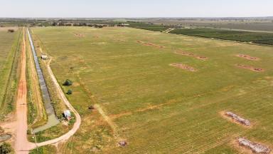 Other (Rural) For Sale - NSW - Stanbridge - 2705 - CLEARED ALLOTMENT WITH POWER & WATER ACCESS  (Image 2)