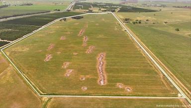 Other (Rural) For Sale - NSW - Stanbridge - 2705 - CLEARED ALLOTMENT WITH POWER & WATER ACCESS  (Image 2)