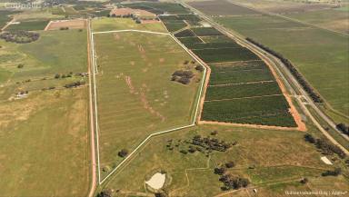 Other (Rural) For Sale - NSW - Stanbridge - 2705 - CHEAP FARM WITH SHED & WATER ACCESS  (Image 2)