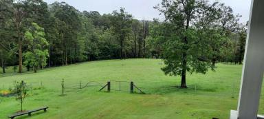 Lifestyle For Sale - NSW - Kyogle - 2474 - LOWER EDEN BEAUTY  (Image 2)