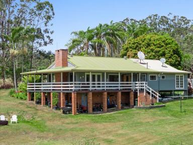 Lifestyle For Sale - NSW - Kyogle - 2474 - LOWER EDEN BEAUTY  (Image 2)