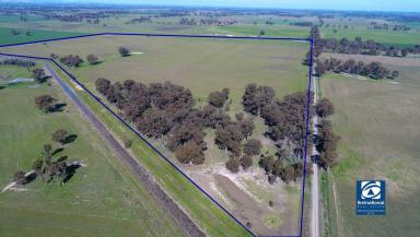 Cropping For Sale - VIC - Wunghnu - 3635 - WUNGHNU CROPPING/GRAZING LAND  (Image 2)