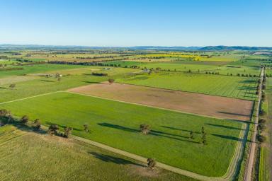 Mixed Farming Sold - NSW - Cowra - 2794 - 140ACRES* PRIME CROPPING COWRA COUNTRY!  (Image 2)